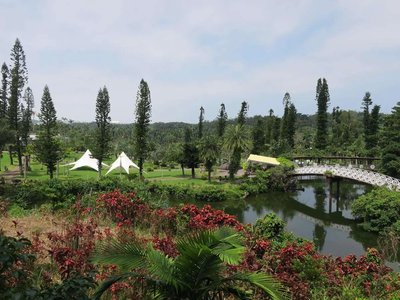 🌴 아름다운 야자수 공원 오키나와・동남 식물 낙원(츄라야시 파쿠 오키나와・토난 쇼쿠부츠 라쿠엔) 이미지 2